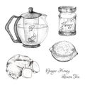 Ginger honey lemon tea ink sketches set Royalty Free Stock Photo