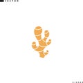 Ginger icon. Isolated ginger root on white background Royalty Free Stock Photo