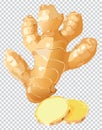 Ginger Illustration, Herbal Spice Ingredient Royalty Free Stock Photo