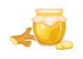 Ginger jam in glass jar and fresh ginger root vector illustration Royalty Free Stock Photo