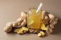Ginger jam in small square jar and fresh ginger Royalty Free Stock Photo