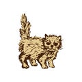 Ginger kitten isolated on white background. Little funny pet. Hand drawn sketch. Vector illustration