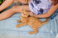 Ginger kitten lies near the girl on the garden swing. The girl strokes her pet. Little blonde caucasian girl with a red cat Royalty Free Stock Photo