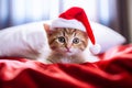 Ginger kitten in red santa hat on the bed. Selective focus Royalty Free Stock Photo