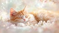 Ginger Kitten Sleeping Peacefully Among White Flowers with Blurred Background in Soft and Tender Light Royalty Free Stock Photo