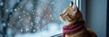 Ginger kitten wearing scarf watching falling snow by window Royalty Free Stock Photo