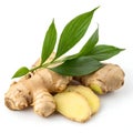 Ginger with Leaves Isolated on White Background Royalty Free Stock Photo