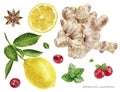 Ginger lemon anise star cranberry mint watercolor illustration isolated on white background Royalty Free Stock Photo