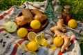 ginger, lemons, and sugar on a picnic blanket