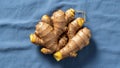 Ginger is light brown with several knobby protrusions and thin Royalty Free Stock Photo