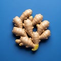 The ginger is light brown with a textured knobby surface typical of Royalty Free Stock Photo