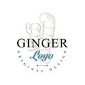 Ginger logo original design, culinary spice emblem vector Illustration on a white background