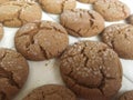 Ginger Molasses Cookies