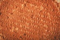Ginger nut biscuits background, close-up on back side. Royalty Free Stock Photo