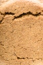 Ginger nut biscuits background, close-up on front side. Royalty Free Stock Photo