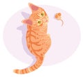 Ginger red tabby cat Royalty Free Stock Photo