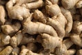 Ginger root Royalty Free Stock Photo