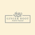 Ginger Root Abstract Vector Sign, Symbol or Logo Template. Hand Drawn Plant Sillhouette Sketch with Elegant Retro