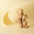 Ginger root on beige base. Minimal food conceept. Copy space Royalty Free Stock Photo