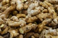 Ginger root counter at grocery store close up Royalty Free Stock Photo