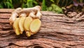 Ginger root - Fresh ginger root and sliced Royalty Free Stock Photo
