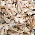 Ginger root fresh in large quantities, top view Royalty Free Stock Photo