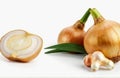 Ginger root, garlic,onion, cut out on white background