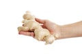 Ginger root in hand isolated on white background Royalty Free Stock Photo