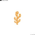 Ginger root icon