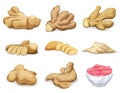 Ginger root icons set, cartoon style