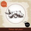 Ginger root illustration. Vintage retro background with hand drawn sketch ginger root.