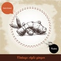 Ginger root illustration. Vintage retro background with hand drawn sketch ginger root. Royalty Free Stock Photo