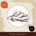 Ginger root illustration. Vintage retro background with hand drawn sketch ginger root. Royalty Free Stock Photo