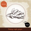 Ginger root illustration. Vintage retro background with hand drawn sketch ginger root.