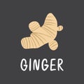 Ginger root with lettering. Flat hand drawn fresh spice for healthy fodd and desserts.