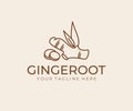 Ginger root logo design. Herbal spice vector design Royalty Free Stock Photo