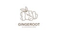 Ginger Root Logo Design. Herbal Spice Vector Isolated on White Background Royalty Free Stock Photo
