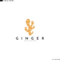 Ginger root logo Royalty Free Stock Photo