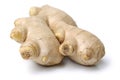 Ginger root with new sprouts Royalty Free Stock Photo