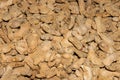 Ginger root spices asia light beige many vegetables fragrant background Royalty Free Stock Photo