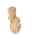 Ginger root white background. Royalty Free Stock Photo