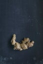 Ginger root, whole root piece on the dark background Royalty Free Stock Photo