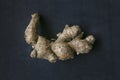 Ginger root, whole root piece on the dark background Royalty Free Stock Photo