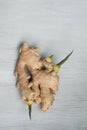 Ginger root with young green sprouts on wooden background Royalty Free Stock Photo