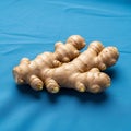 Ginger root (Zingiber officinale) on a blue fabric background Royalty Free Stock Photo