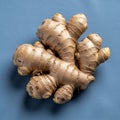 Ginger is commonly used as a spice and for its medicinal properties Royalty Free Stock Photo
