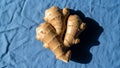 Ginger root Zingiber officinale is placed on a textured blue fabric Royalty Free Stock Photo