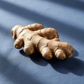 Ginger root Zingiber officinale rests on a blue fabric surface Royalty Free Stock Photo