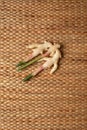 Ginger roots on brown wallpaper showing texture of weave dried water hyacinth placemat.