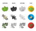 Ginger, rosemary, vanilla, mint.Herbs and spices set collection icons in cartoon,black,outline,flat style vector symbol Royalty Free Stock Photo